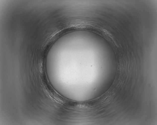 X0000058800596200509300916