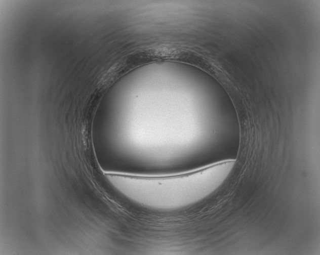 X0000058800597200509300916