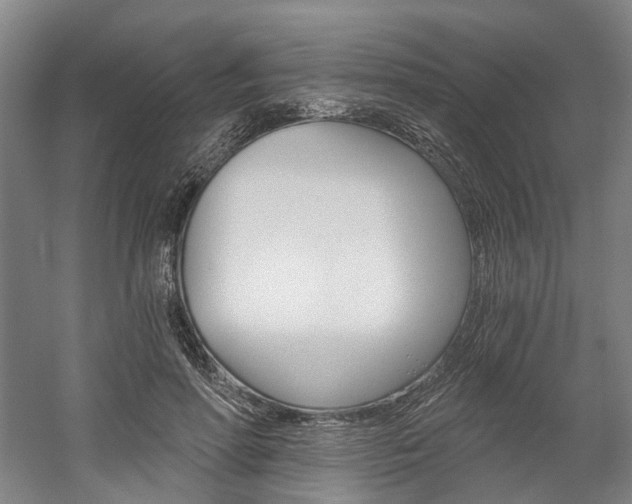 X0000058800598200509300916