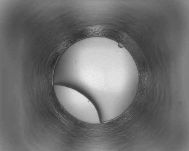 X0000058800602200509300916