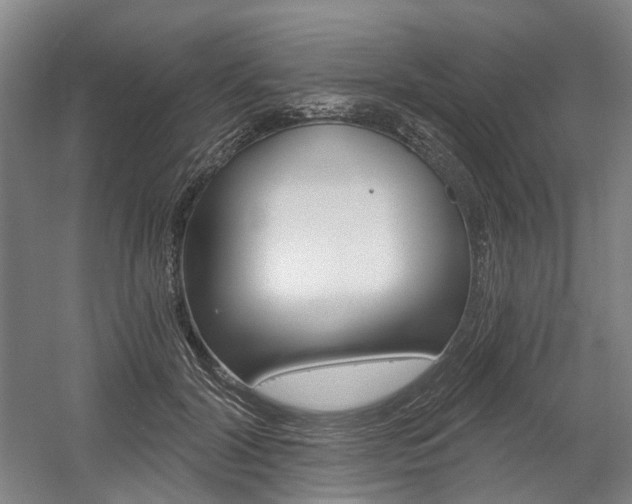 X0000058800604200509300916