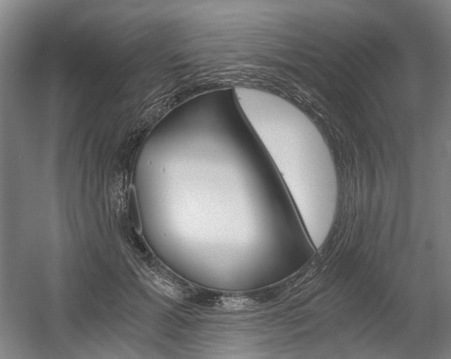 X0000058800605200509300916
