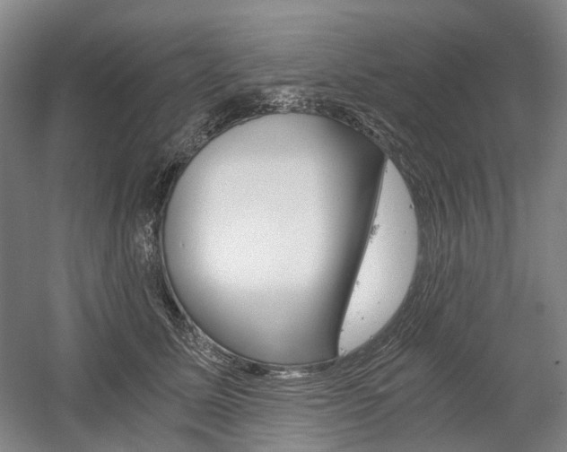 X0000058800611200509300916