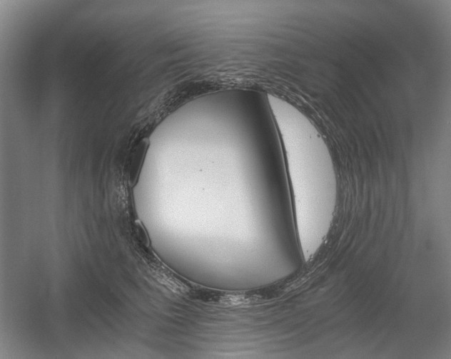 X0000058800613200509300916