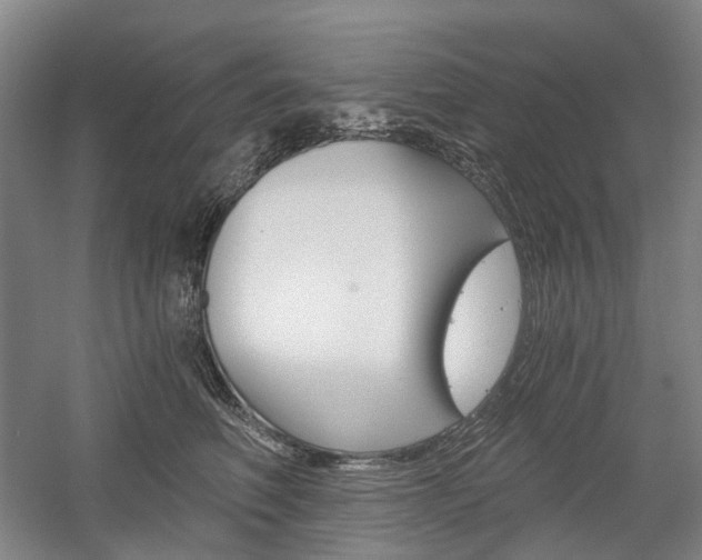 X0000058800614200509300916