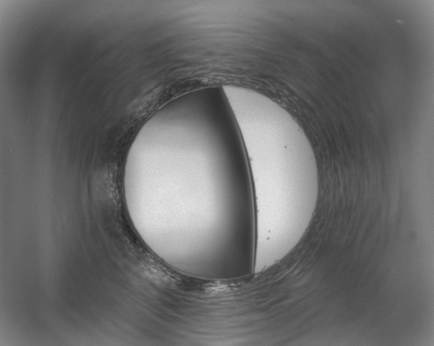 X0000058800616200509300916