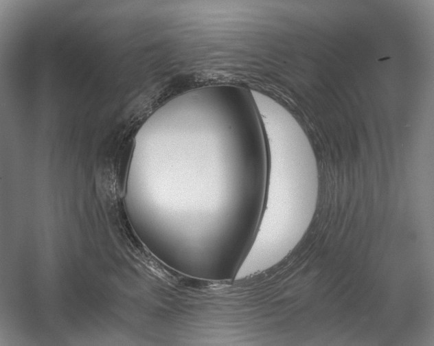 X0000058800617200509300916