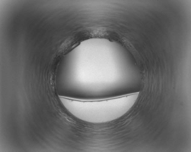 X0000058800619200509300916