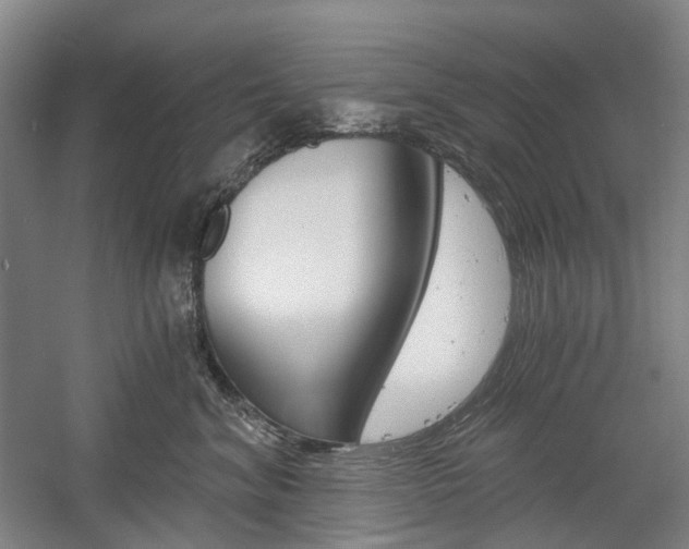 X0000058800620200509300916