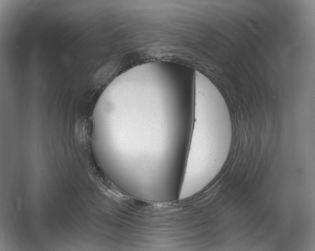 X0000058800623200509300916