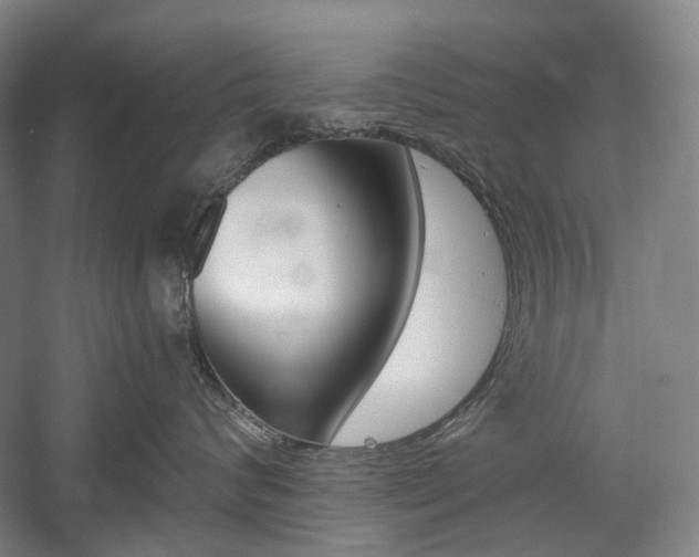 X0000058800624200509300916