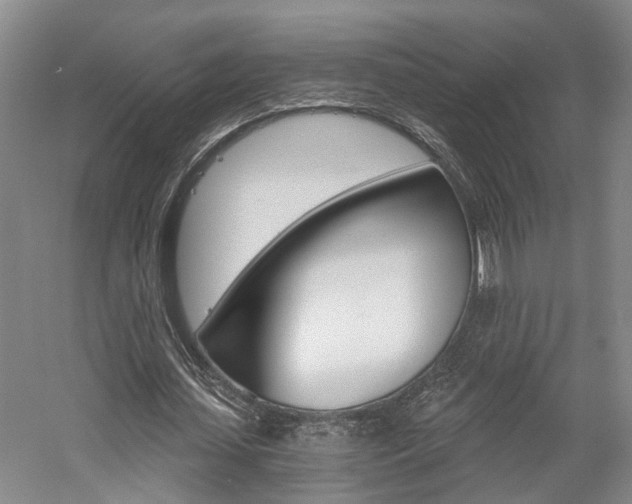X0000058800627200509300915