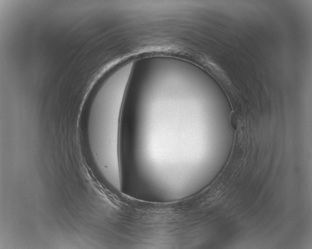 X0000058800628200509300915
