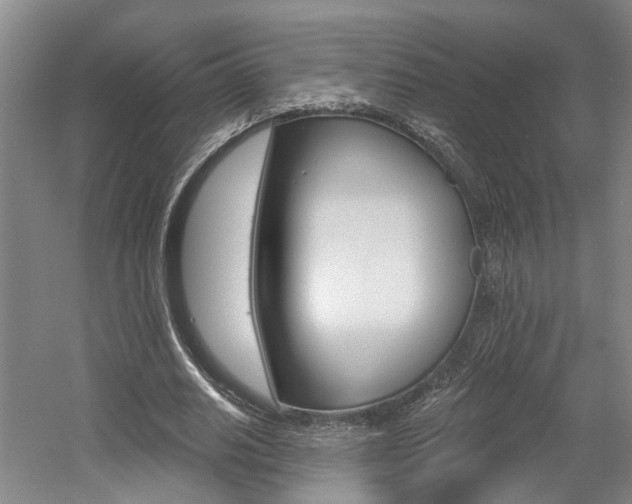 X0000058800630200509300915