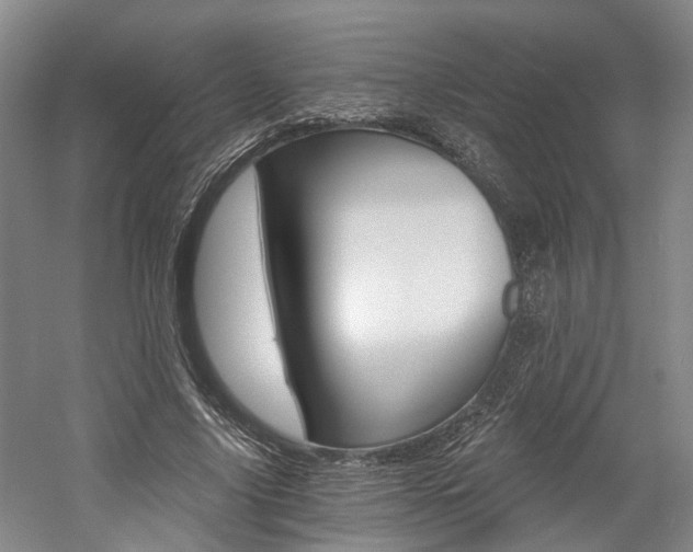 X0000058800635200509300915