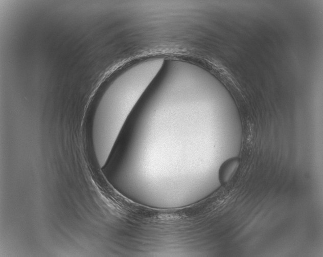 X0000058800636200509300915