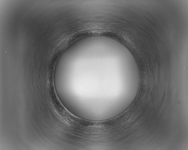 X0000058800639200509300915