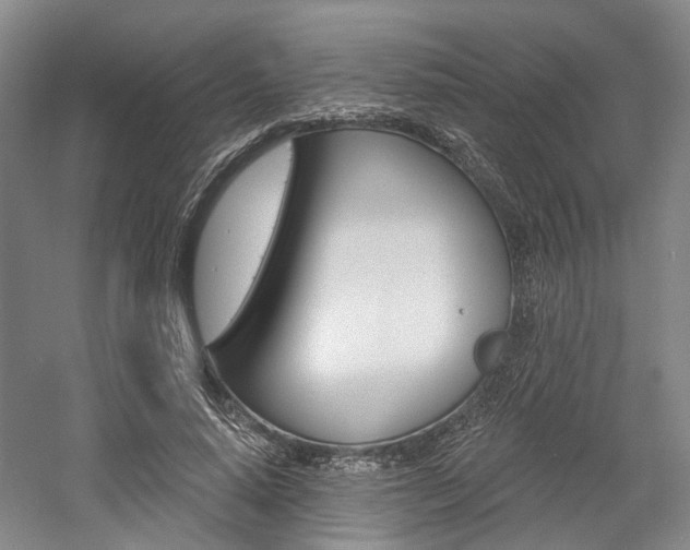 X0000058800640200509300915