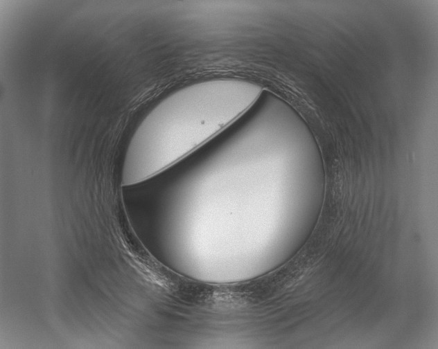 X0000058800641200509300915