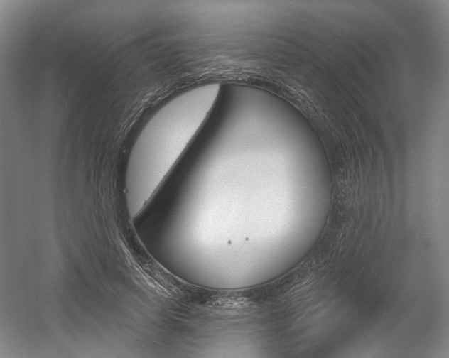 X0000058800642200509300915