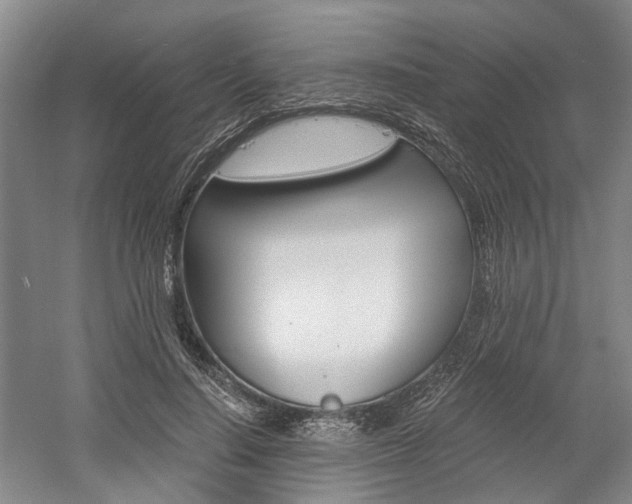 X0000058800644200509300915