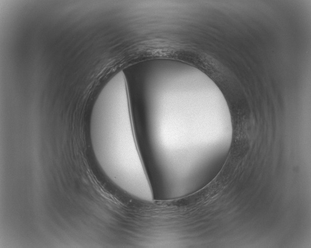 X0000058800646200509300915