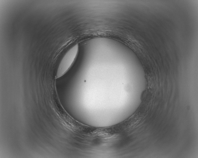 X0000058800648200509300915