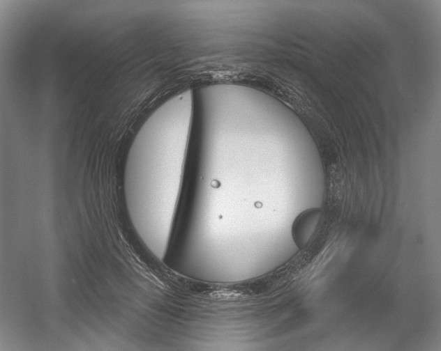 X0000058800650200509300915