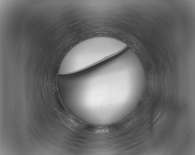 X0000058800653200509300915
