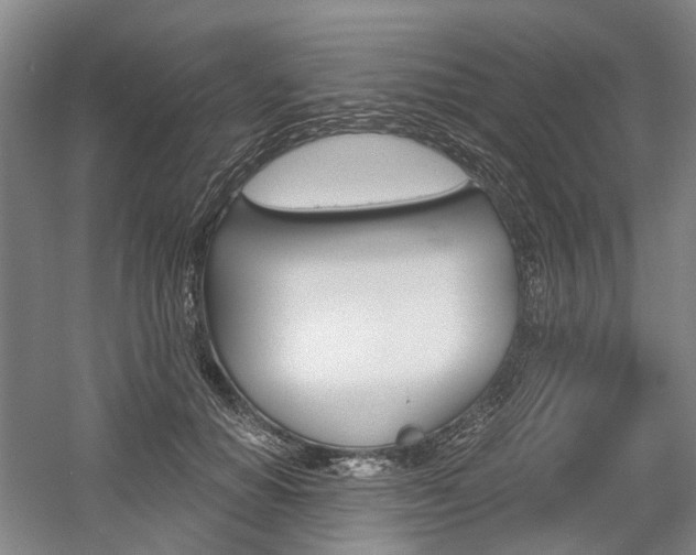 X0000058800654200509300915