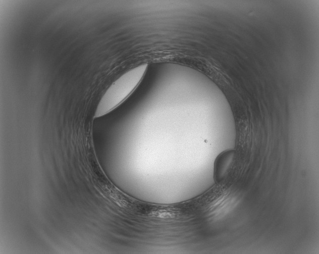 X0000058800655200509300915