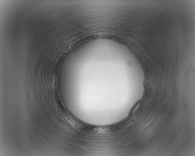 X0000058800660200509300915