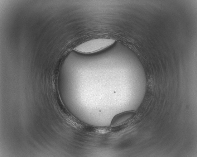 X0000058800662200509300915