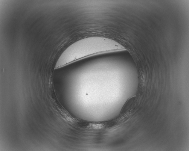 X0000058800665200509300915