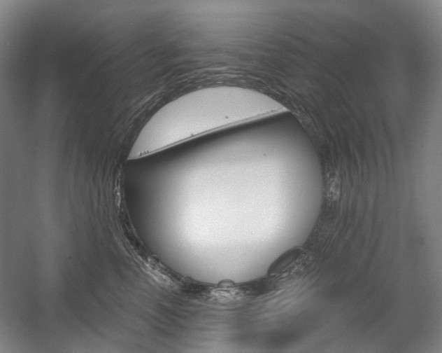 X0000058800666200509300915