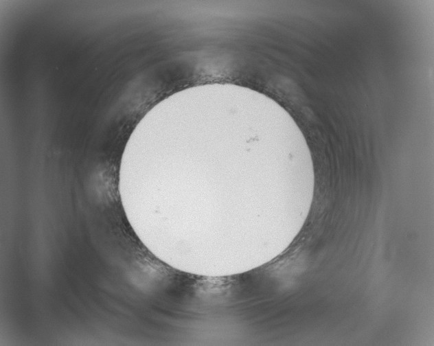 X0000058800672200509300916