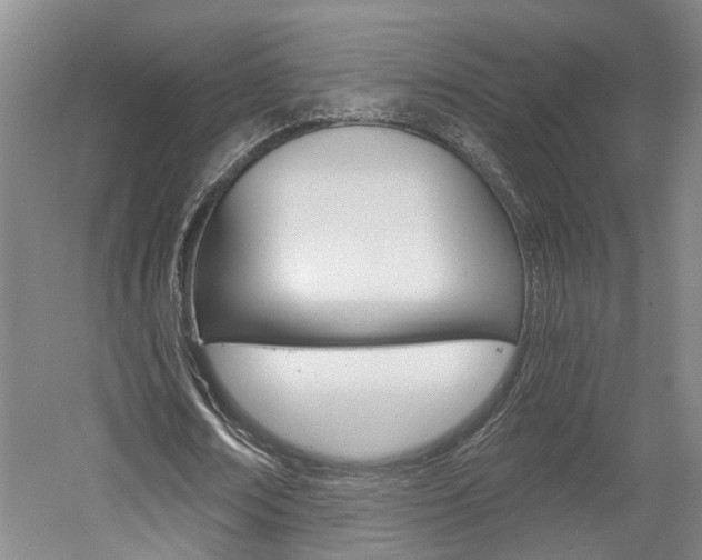 X0000058800674200509300915