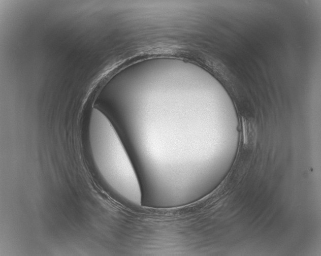 X0000058800675200509300915
