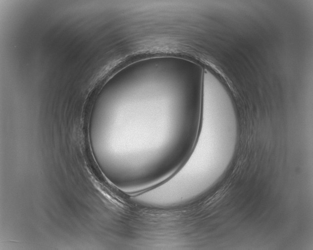 X0000058800677200509300915