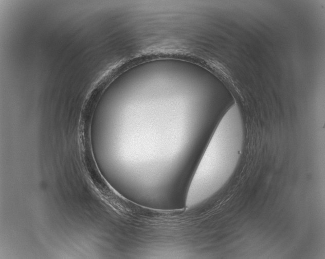 X0000058800680200509300915