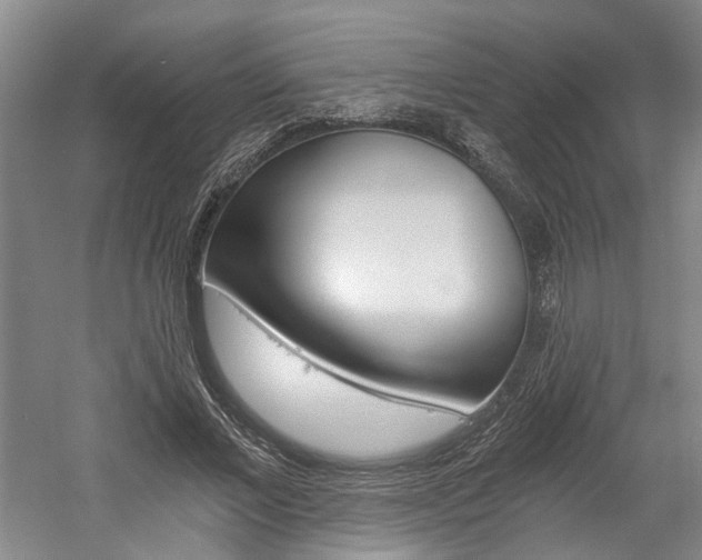 X0000058800685200509300915