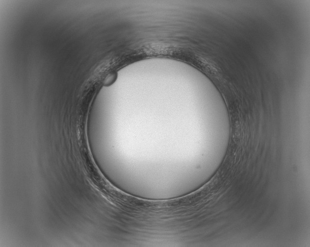 X0000058800687200509300915