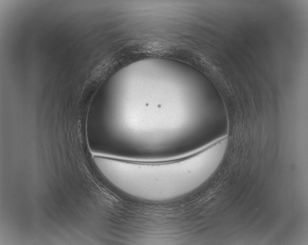 X0000058800689200509300914