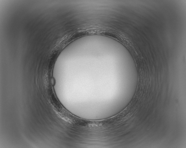 X0000058800690200509300914