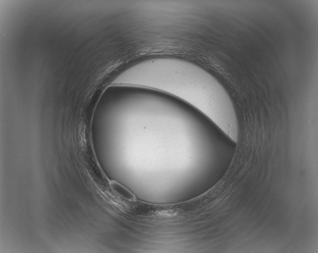 X0000058800692200509300914
