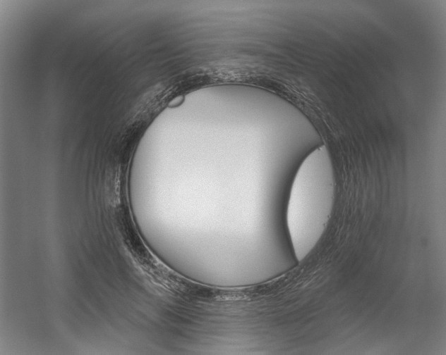 X0000058800694200509300914