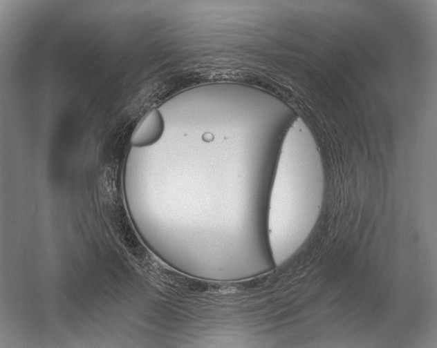X0000058800695200509300914