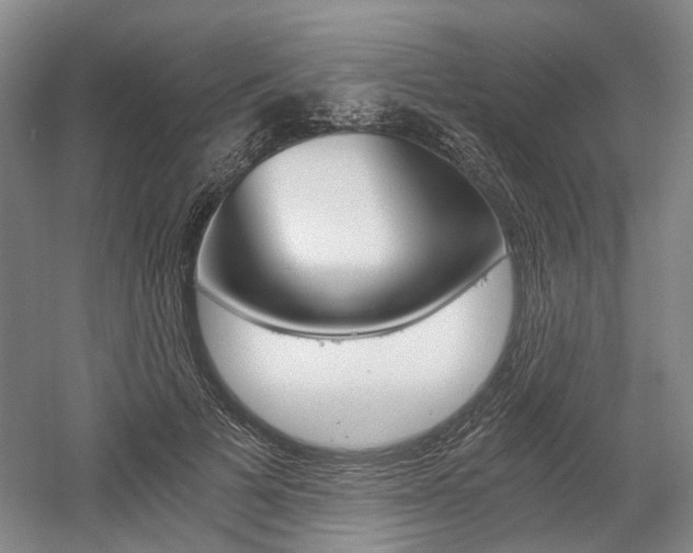X0000058800697200509300914