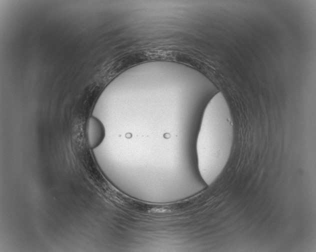 X0000058800699200509300914