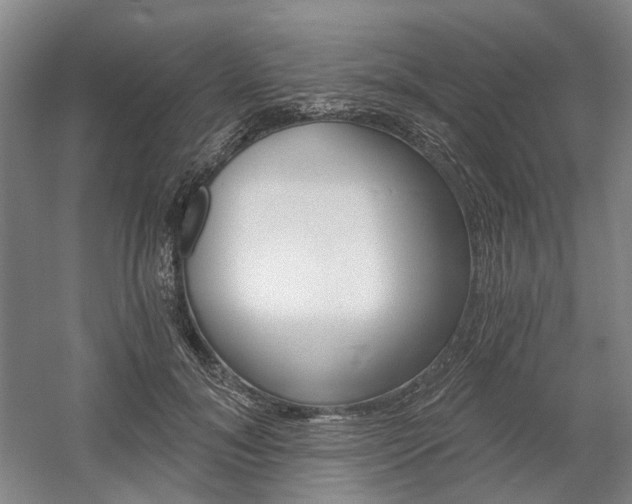 X0000058800700200509300914